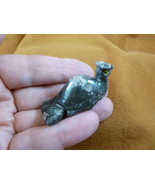 (Y-BIR-PEA-8) baby gray white PEACOCK carving SOAPSTONE Peru I love peac... - €7,75 EUR