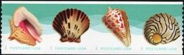 2017 34c Seashells Postcard, Pacific Calico, Strip of 4 Scott 5167-70 Mi... - $4.28