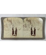 Stereopticon Card Goat Island in Winter Horseshoe Falls Niagara 1902 Und... - £3.70 GBP