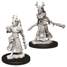 WizKids D&amp;D: Nolzur&#39;s Marvelous Minis: Female Human Druid W9 (Unpainted) - $8.79