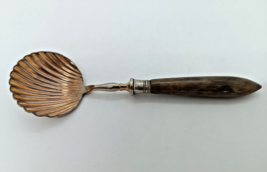 Antique Sugar Spoon, wooden handle - $19.72