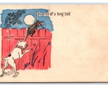 Comic Dog Chasing Cat Over Fence End of a Long Tail UNP DB Postcard R26 - $4.42
