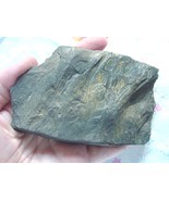 F-356d) fossil Fern in slate matrix specimen St Clair Pennsylvania plant... - €15,52 EUR