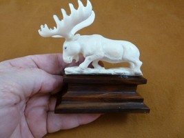 moose-19 white Moose Elk bull running shed ANTLER figurine Bali detailed... - £54.85 GBP
