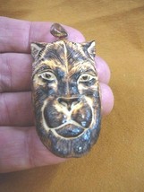 (j-panther-6) wild Panther aceh bovine bone carving PENDANT brown face p... - £23.64 GBP