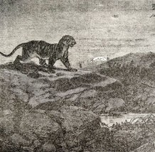 Bengal Tiger Hunting In India 1887 Wood Engraving Victorian Art DWEE34 - £19.58 GBP