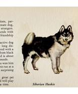 Siberian Husky 1939 Dog Breed Art Ole Larsen Color Plate Print Antique P... - $41.01 CAD