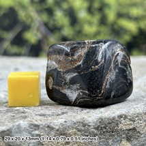 Genuine Fossil Algae Stromatolite - Bolivia Cretaceous - Ideal Gift - $8.37