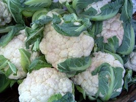MBK 112 Seeds Cauliflower Early Snowball Groco Fresh Garden - $169.72 MXN
