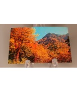 The Chimney Tops In Fall Colors Great Smoky National Park Vintage Postcard - £4.49 GBP