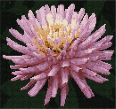 Pepita Needlepoint kit: Open Flower, 10&quot; x 10&quot; - £63.08 GBP+