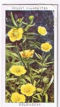 Wills Cigarette Card Wild Flowers #3 Goldilocks - £0.78 GBP