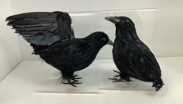 Realistic Feathered Crows Halloween Decorations - Set of 2 - Scary Home Decor - £12.04 GBP