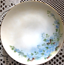 Thomas Serves-Hand painted-Dessert Plate-Blue Flowers-Bavaria-Early 1900&#39;s - $8.00