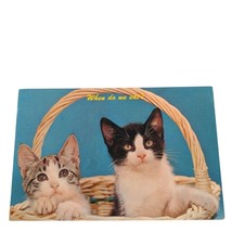 Postcard Kittens In Basket Cats When Do We Eat? Chrome Posted - $4.15