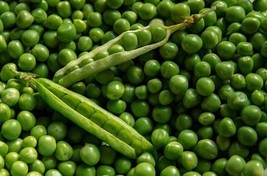 Debrecen Light Green Pea - Hungarian variety - 20+ seeds - Samen - H 145 - $4.93