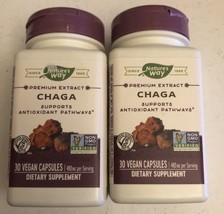 2 Natures Way 480mg CHAGA Mushroom premium Antioxidant Immunity 60 vegan caps - $28.71