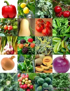 ORGANIC FRUITS & VEGETABLE MIX, heirloom garden non gmo assorted seed -150 seeds - $17.98