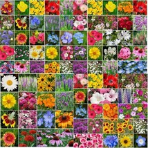 Wildflower Mix LandscaperS Pack Bulk 4 Top Sellers NON GMO Pure Seed 5000 Seeds - $12.91