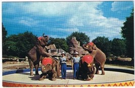 Michigan Postcard Detroit Zoological Park Elephant Show - £1.68 GBP