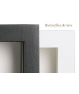 Ornithoptera Croesus Lydius Orang Birdwing Butterfly Framed Entomology S... - $168.00