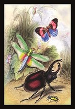 Butterfly, Dragonfly, and Beetles by James Duncan - Art Print - £17.25 GBP+
