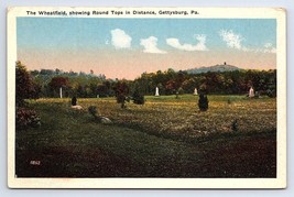 Postcard Wheatfield Showing Round Tops in Distance Gettysburg Pennsylvania PA - £3.55 GBP