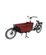 Bakfiets Family Cargo E-Bike | Redefine Your Ride - $54,083.85 MXN
