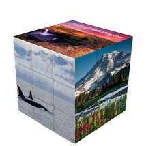 State of Washington Swizzle Cube (Medium) - £9.37 GBP