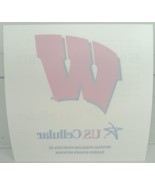 University of Wisconsin Madison Badgers Window Cling - £4.67 GBP