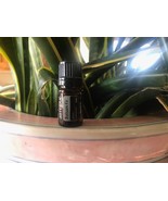 \doTERRA Balsam Fir 5 mL Essential Oil  NEW &amp; SEALED Exp 08/28 - $18.16 CAD