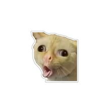 Coughing Cat Meme 3.5X3.2 Sticker Vinyl Decal Gift Car Bumper Laptop Hom... - $109.97 MXN