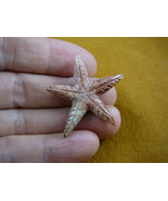 Y-STA-3) little Red Starfish marine sea star stone carving SOAPSTONE lov... - $170.87 MXN