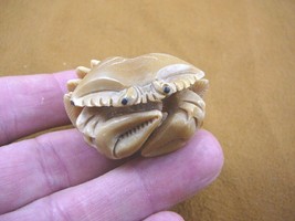 (tb-crab-5) little blue Crab TAGUA NUT palm figurine Bali detailed carvi... - $49.08