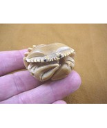 (tb-crab-5) little blue Crab TAGUA NUT palm figurine Bali detailed carvi... - £38.59 GBP