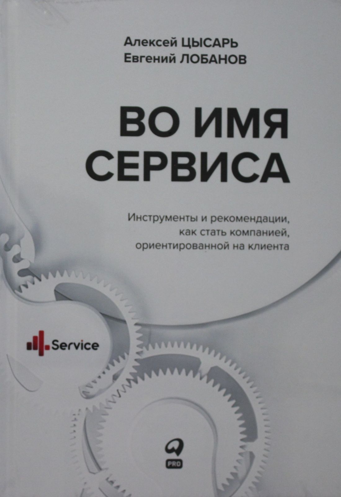 Vo imja Servisa. Instrumenty i rekomendatsii, kak stat kompaniej, orient... - $16.00