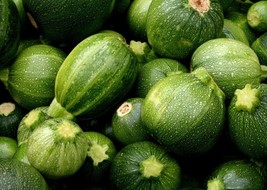 Squash Zucchini Round Seeds 25 Ct Summer Vegetable Non-Gmo Usa Fresh Garden - $7.08