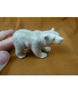 bear-w116 polar Grizzly bear walking of shed ANTLER figurine Bali detail... - £90.11 GBP