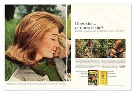 Miss Clairol Hair Color Brunette Mom with Family Vintage 1968 2-Page Mag... - £9.83 GBP