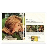Miss Clairol Hair Color Brunette Mom with Family Vintage 1968 2-Page Mag... - £9.67 GBP