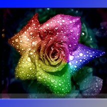 Hot Wheels 5 Color Rose Seedling Flower Seeds 50 Seeds Chinese Rose Plan... - $139.17 MXN