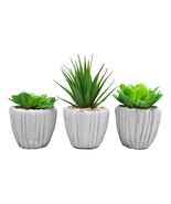 Set Of 3 Realistic Artificial Botanica Fern Succulents Plant In Grey Cem... - $654.93 MXN