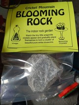 New Indoor Grow Your Own Aragonite Crystal Blooming Rock Garden Science Kit - $6.93