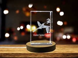 LED Base included | Violet-Tailed Sylph 3D Engraved Crystal 3D Engraved Crystal - £31.55 GBP+
