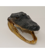 Alligator Head Genuine Authentic Reptile Taxidermy Gator Specimen Sharp ... - $39.59