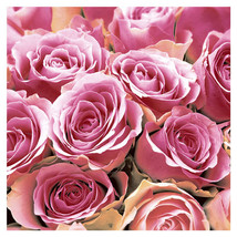 Paper+Design Rose Print Luncheon Napkins - Pink - £26.22 GBP