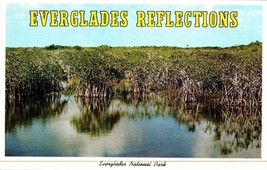 Everglades National Park in Florida Postcard - £4.08 GBP