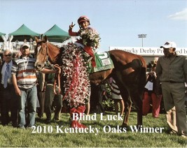 2010 - BLIND LUCK after winning the Kentucky Oaks - 10&quot; x 8&quot; - £15.69 GBP