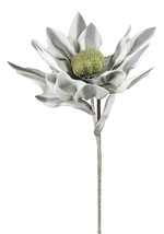 Set of 2 Realistic Artificial Botanica Long White Grey Flower Floral Stems - $39.99