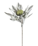 Set of 2 Realistic Artificial Botanica Long White Grey Flower Floral Stems - $54.69 CAD